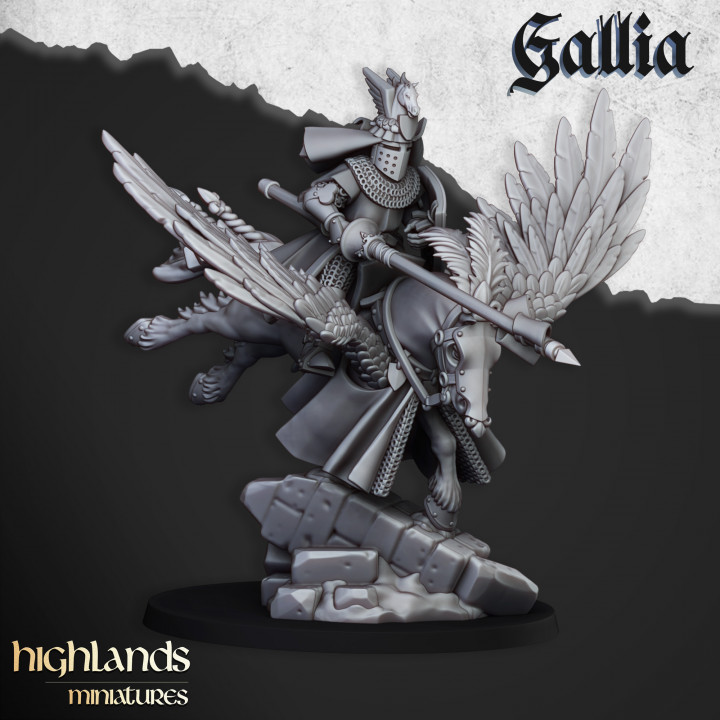 Gallia Knights on Pegasus 1 - Imagen 2
