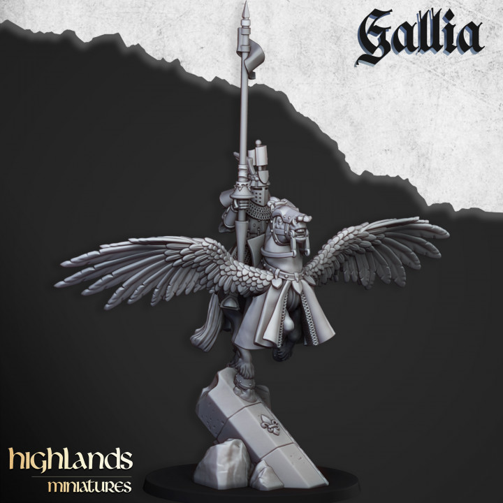 Gallia Knights on Pegasus 1 - Imagen 4