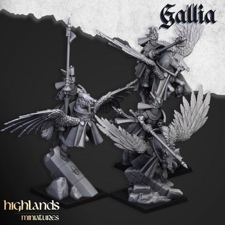 Gallia Knights on Pegasus 1