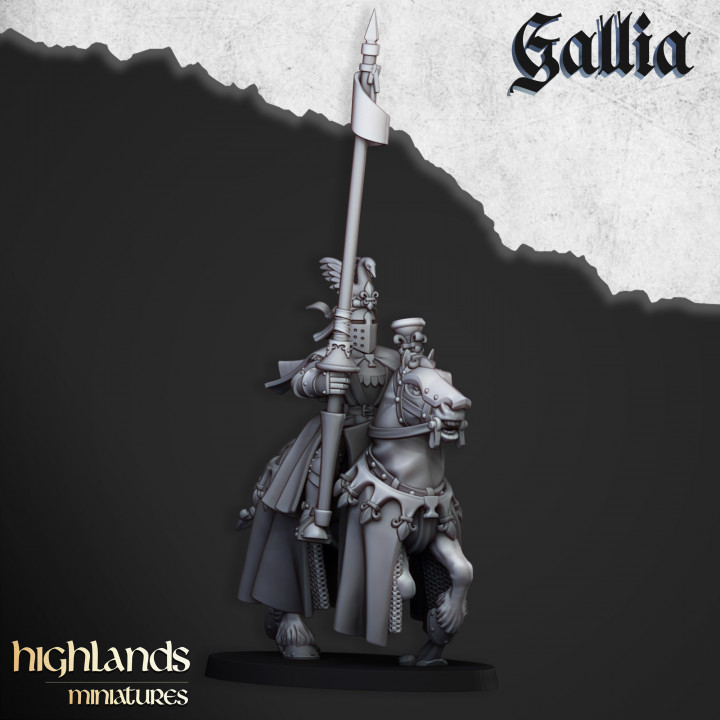 Royal Knights of Gallia - Imagen 3