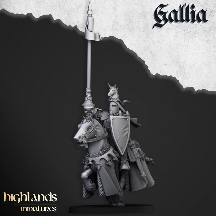 Royal Knights of Gallia - Imagen 2