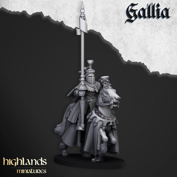 Royal Knights of Gallia - Imagen 9