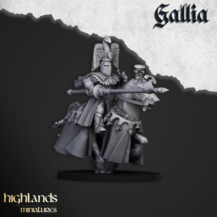 Royal Knights of Gallia - Imagen 6