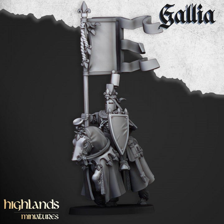 Royal Knights of Gallia - Imagen 8