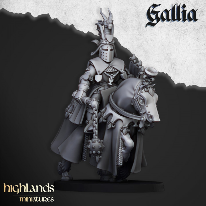 Royal Knights of Gallia - Imagen 5