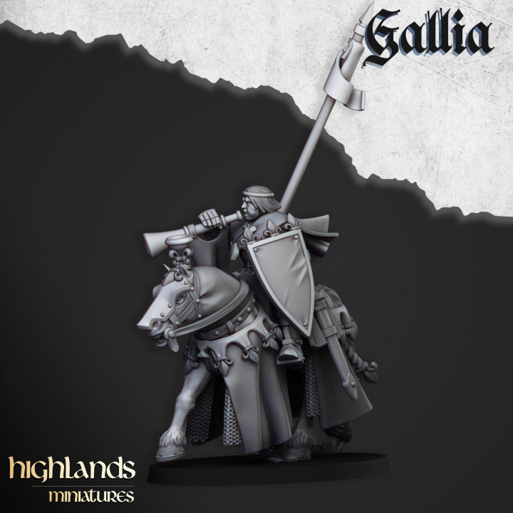Royal Knights of Gallia - Imagen 4